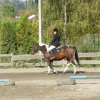 Babie Lato 2016